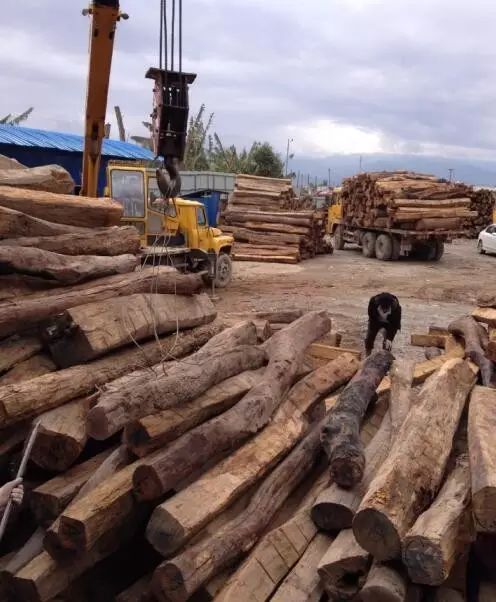 緬甸花梨憑什么,價(jià)格一路上漲.... 緬甸花梨憑什么,價(jià)格一路上漲....